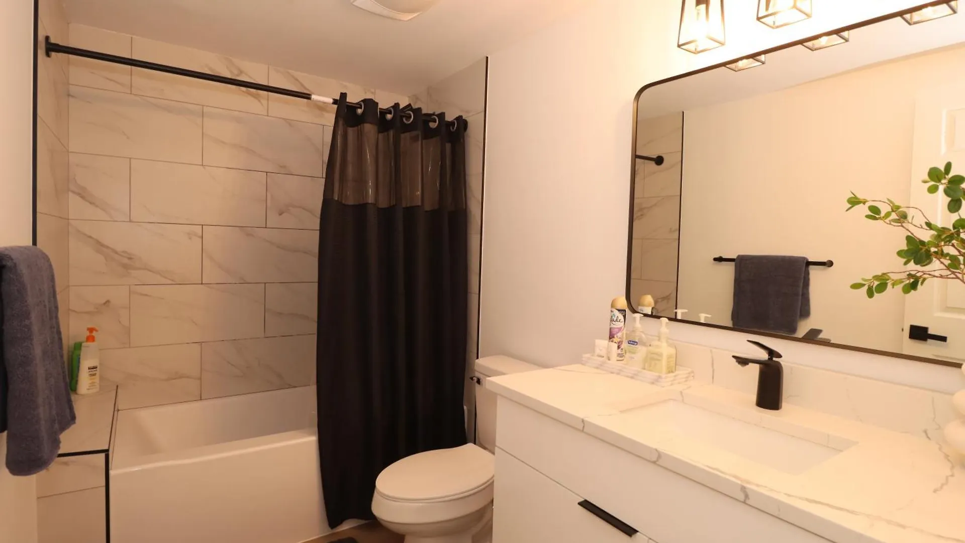 Modern Units Near Downtown, Lumen Fields, Light Rail Apartment Seattle United States